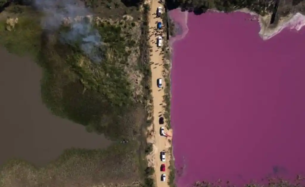 La foto que ayudó a salvar una laguna en Paraguay