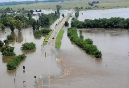 Emergencia agropecuaria para más de 15 distritos bonaerenses