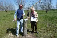 Entre Ríos: Los secretos de los pecanes