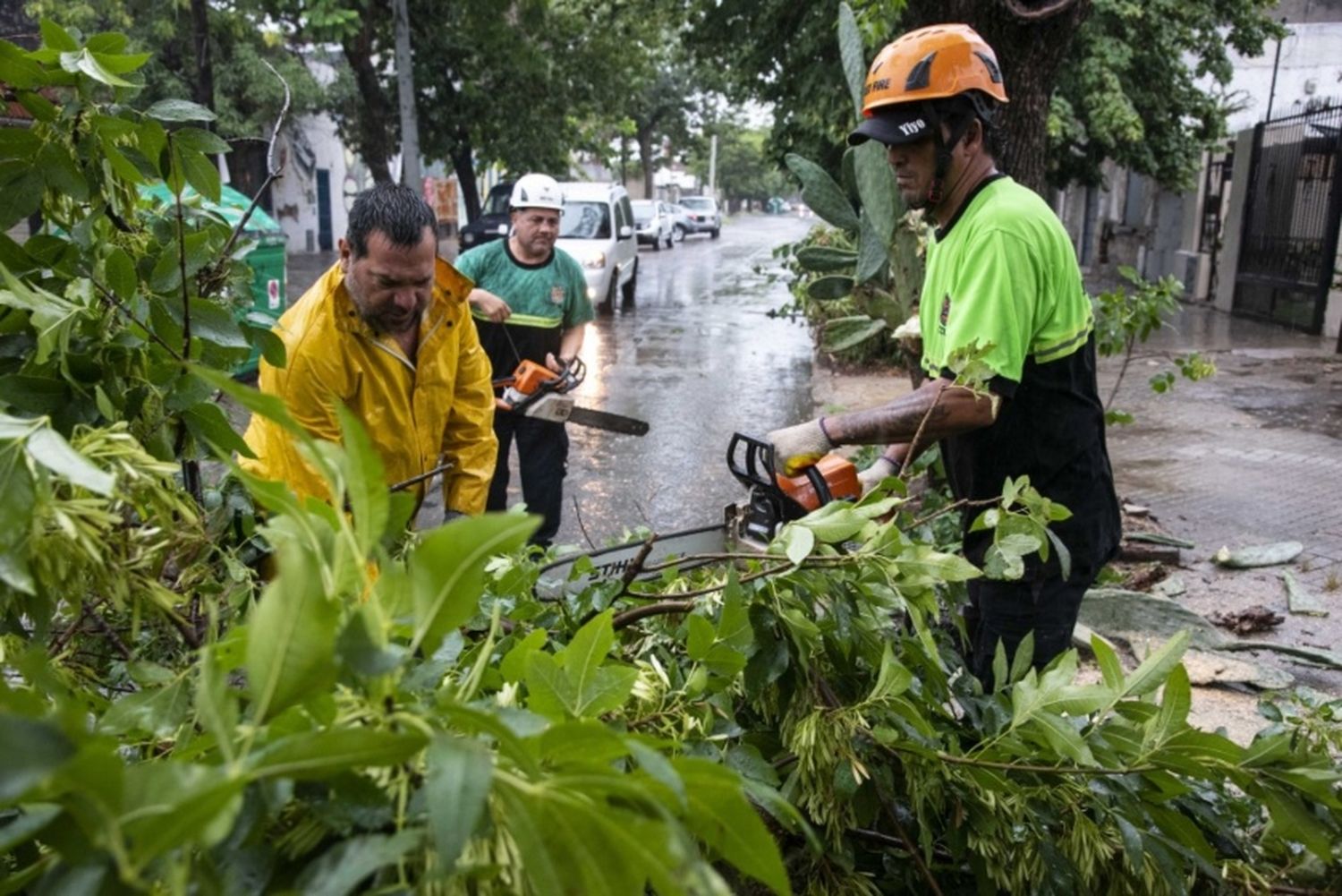 La tormenta de este viernes dejó más de 60 árboles y ramas caídas en Rosario