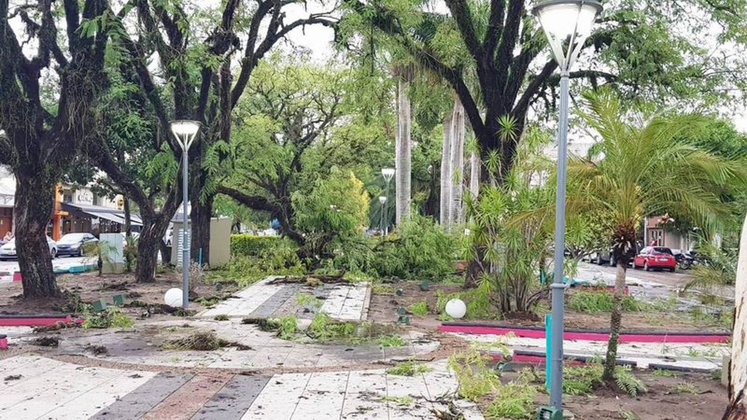 Fuerte temporal en la ciudad causó caída de 
árboles, postes de luz y voladura de techos