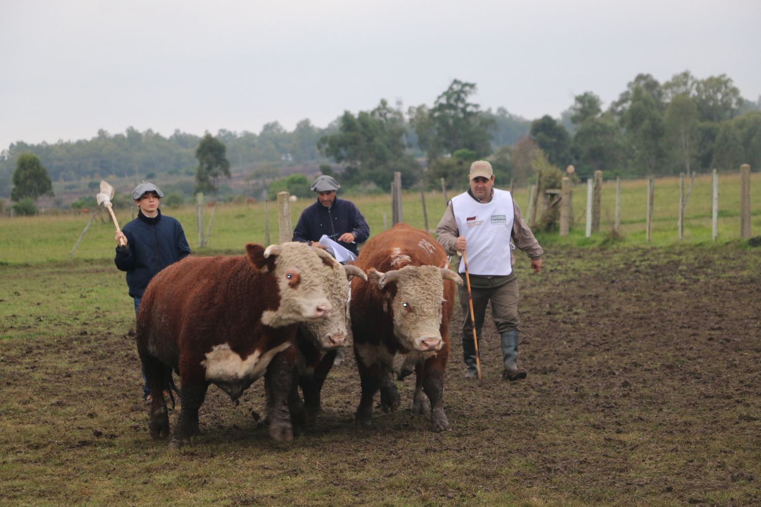 “Tenemos un gobierno que apoya al campo que es la principal fuente de ingresos del país”