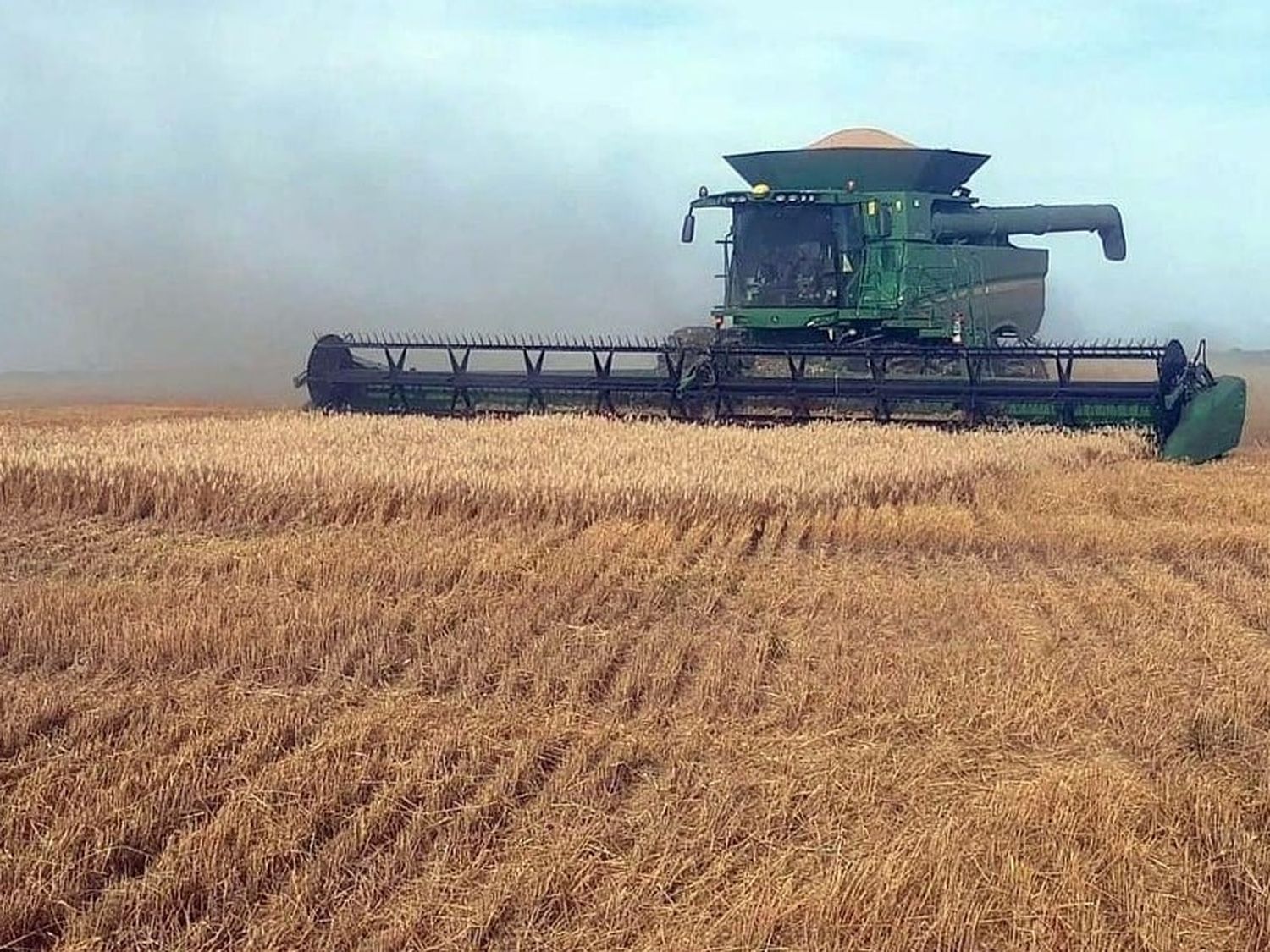 La producción agrícola fue uno de los motores de la recuperación.