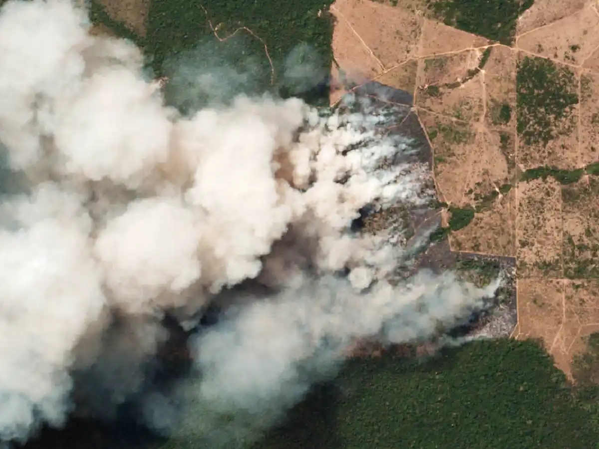 El humo del incendio en la Amazonia llegó al norte argentino