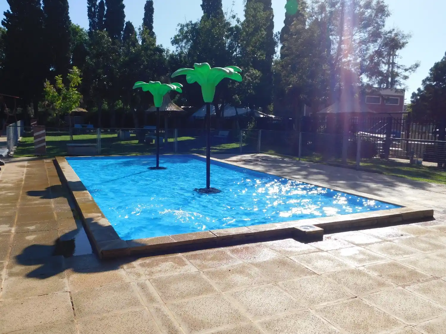 parque municipal - 2