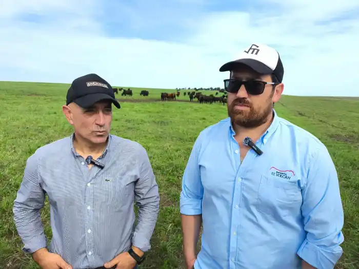 Alta genética, riego extensivo y colza, en la agenda productiva de Los Lazos