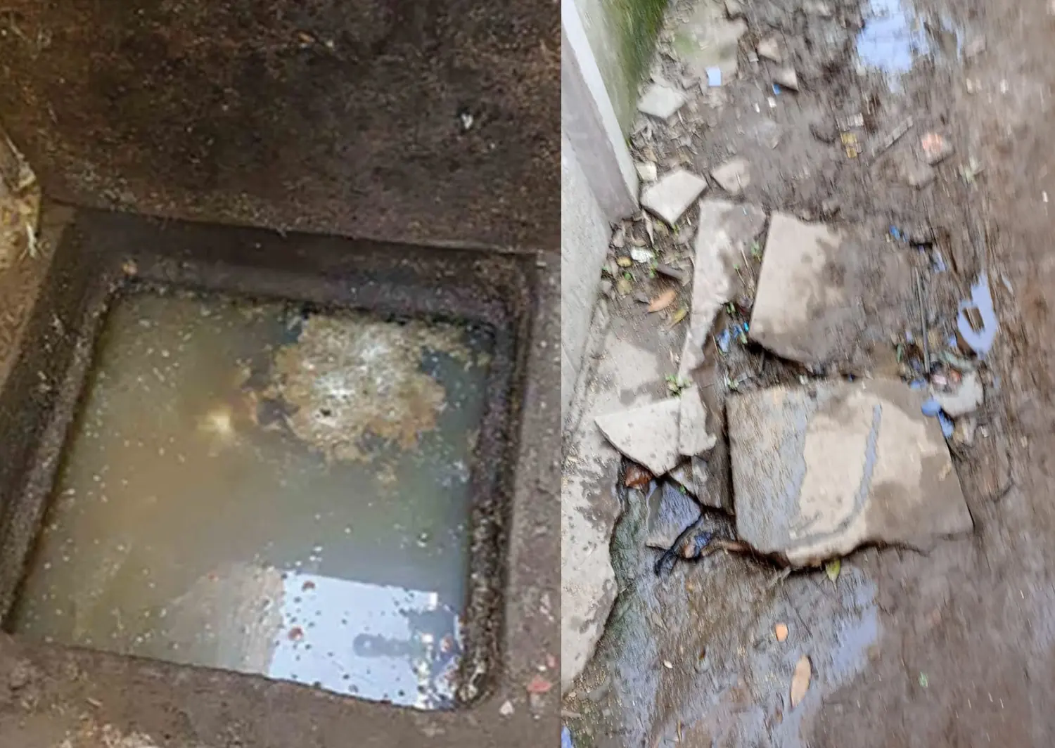 Cloacas rebalsadas en barrio Casini