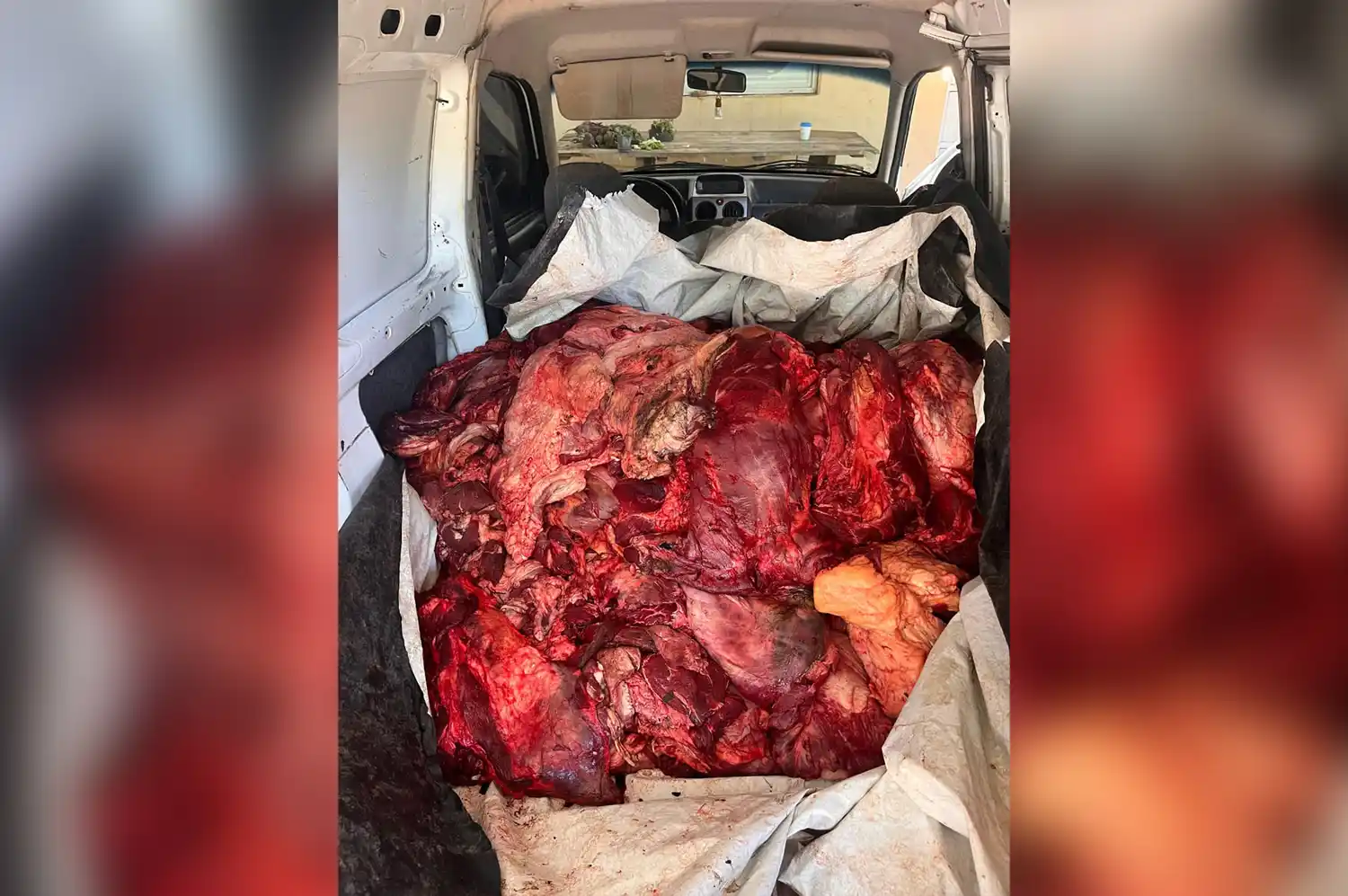 Llevaba 600 kilos de carne sin documentación en una Partner: quedó todo secuestrado