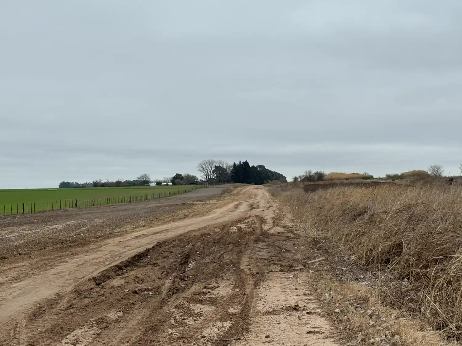 La tasa por mantenimiento de la red vial la pagan los propietarios de inmuebles ubicados en el campo.
