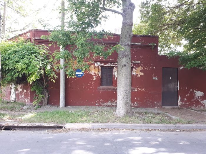 usurpación colón y sarmiento