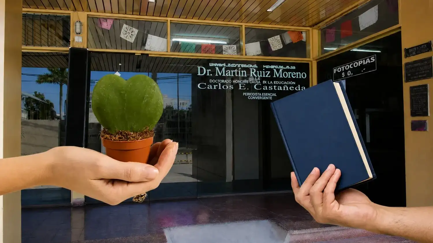 LANZAN CAMPAÑA PRIMAVERAL “100 HOYAS X 100 LIBROS”