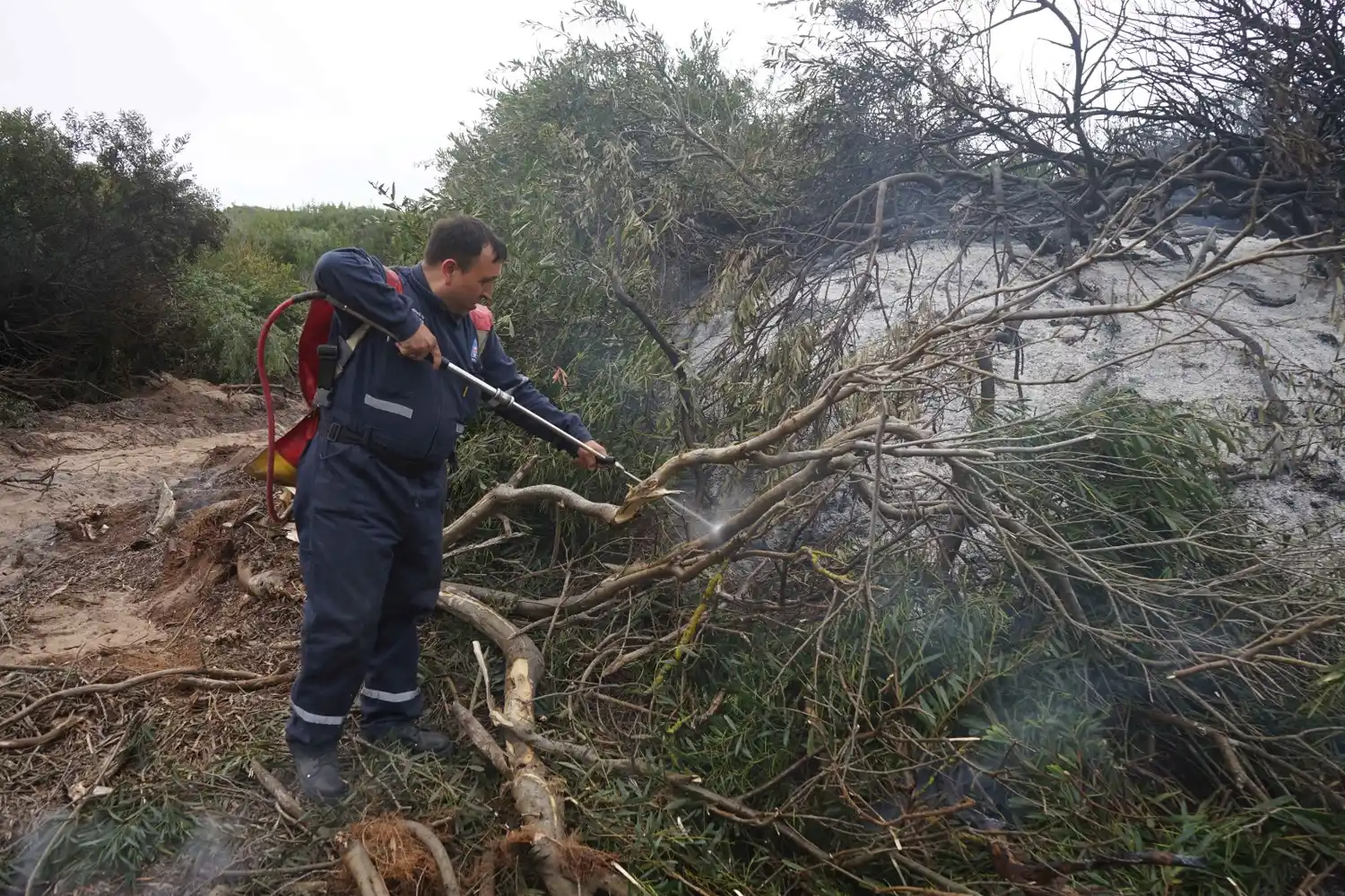 incendio quequen