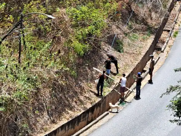 ¡ALÓ CORPOELEC! Y así se ROBAN LA LUZ en urbanización Lomas del Ávila (+FOTOS)