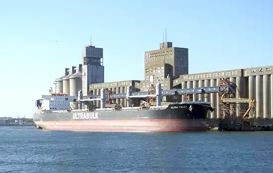 Productor y exportador. La empresa dedicada a la actividad agrícola cumple el doble rol dentro de la cadena agroexportadora.