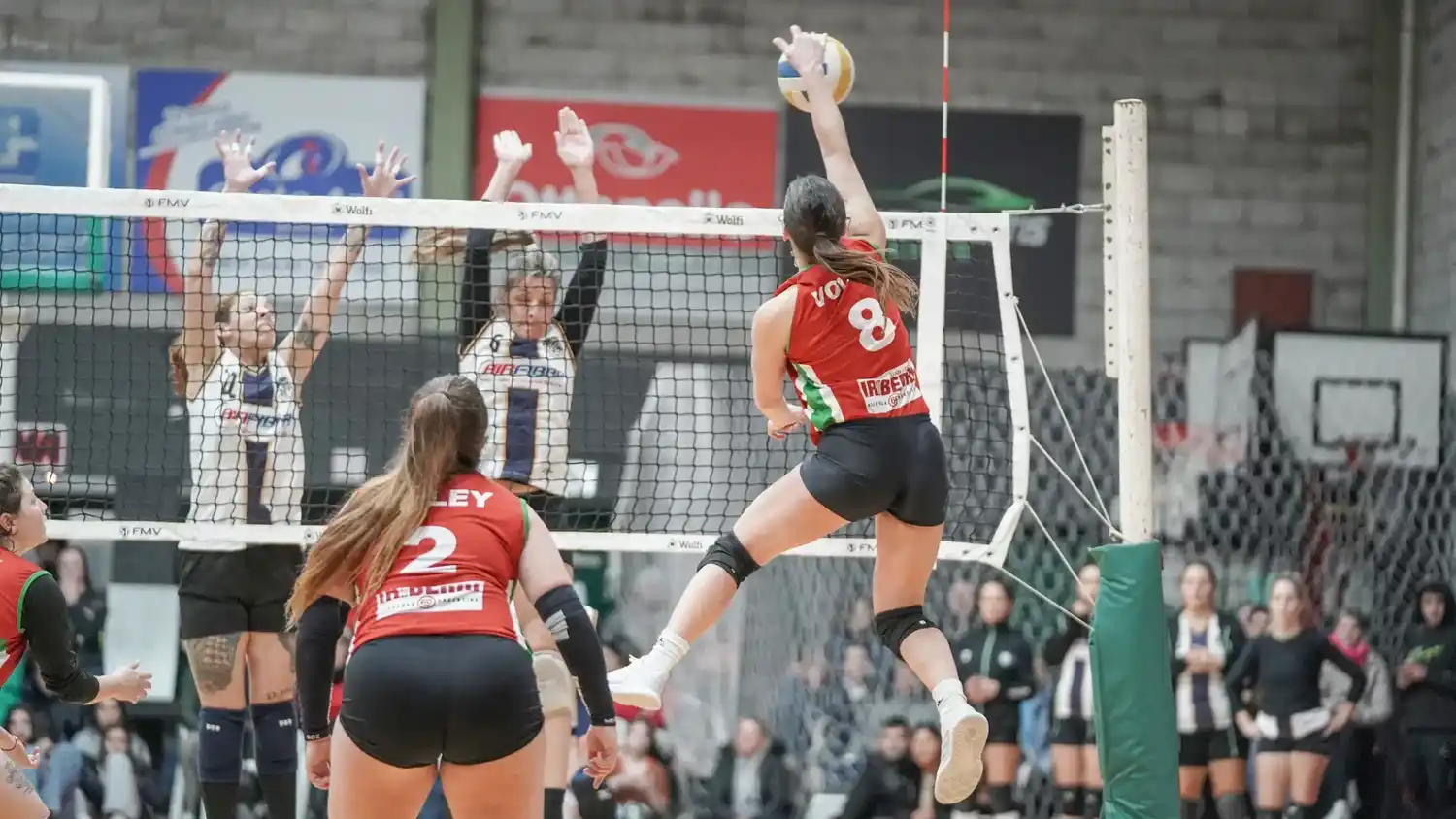 El Torneo Clausura de la Liga Necochense de Voley inicia este domingo