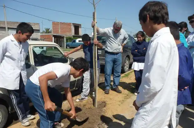 Espacios Verdes trabaja para mejorar el arbolado urbano en Gualeguaychú