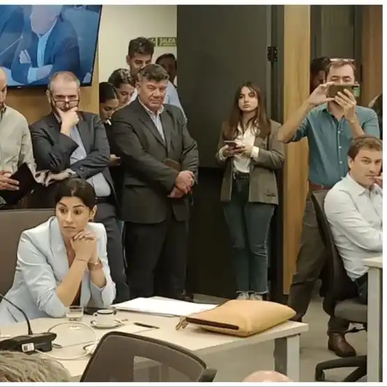 Trío. Pagano, Bidegaray y Bindi, en el Congreso.