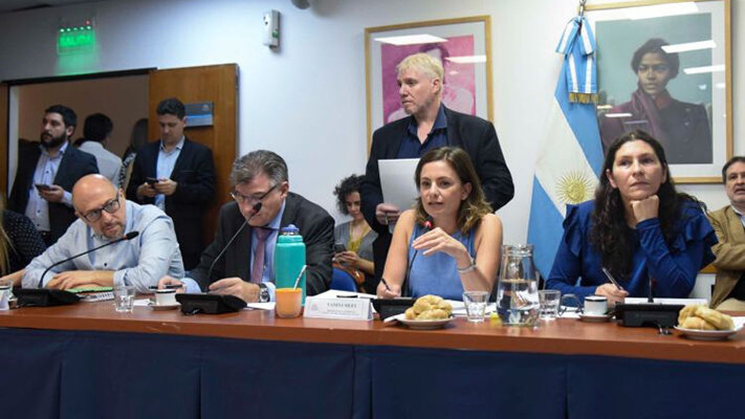 Buscan dictamen. Los legisladores de la cámara baja de la Nación
