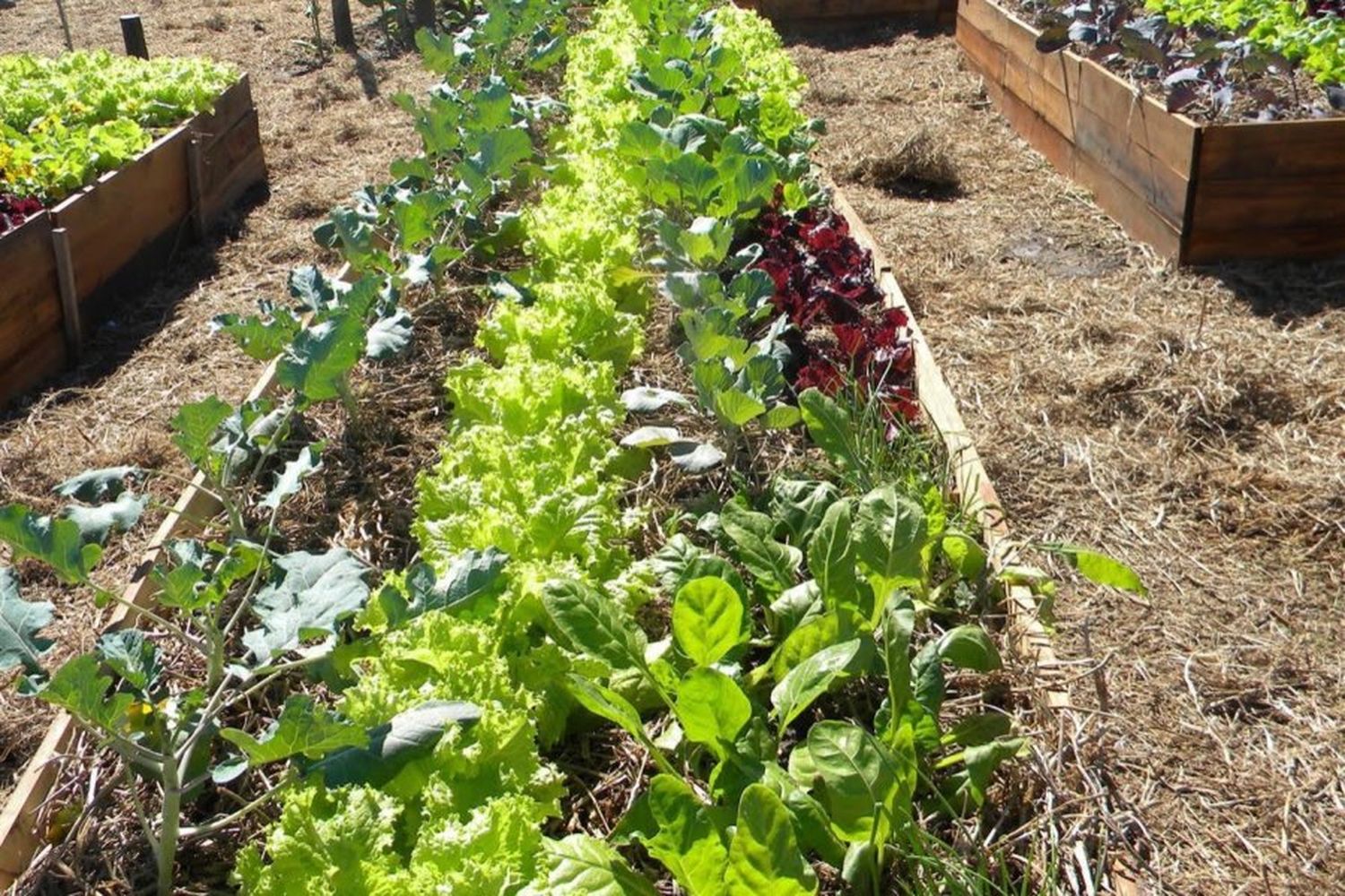 Taller de huerta y compost en el barrio Central Córdoba