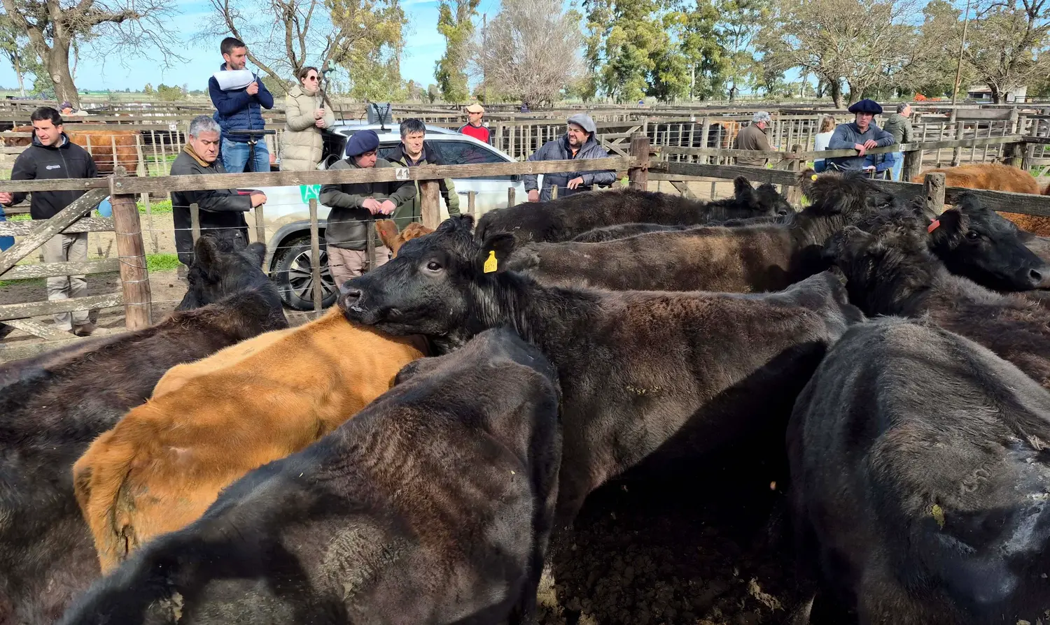 Volumen, calidad y buenos negocios en otra tarde de feria