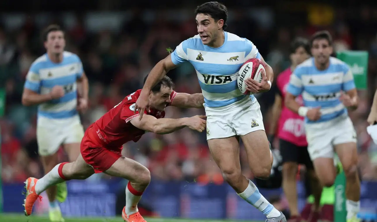 los pumas - 2