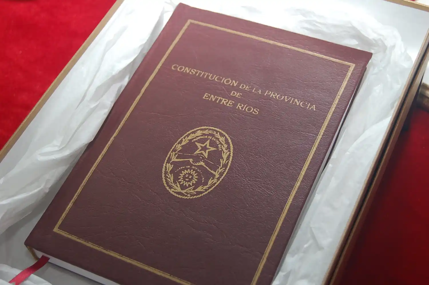 Desde este año es obligatoria la lectura de la Constitución provincial en las escuelas secundarias