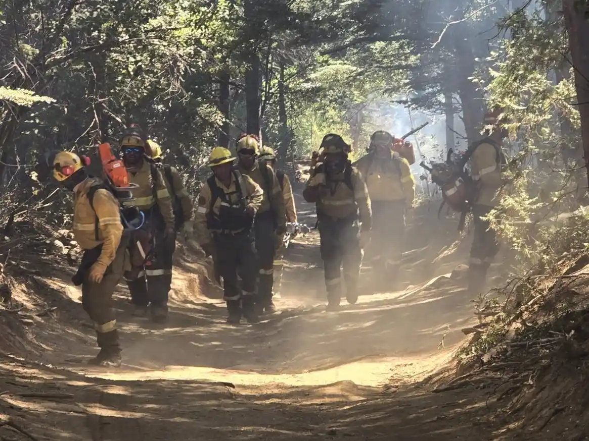 Bomberos de varias partes del país concurrieron a El Bolsón a luchar contra las llamas.