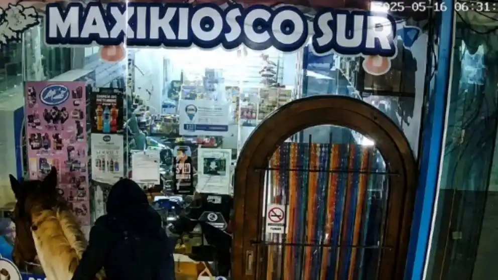 Insólito lo que pasó en Miramar: robaron a caballo. Foto: Captura de video