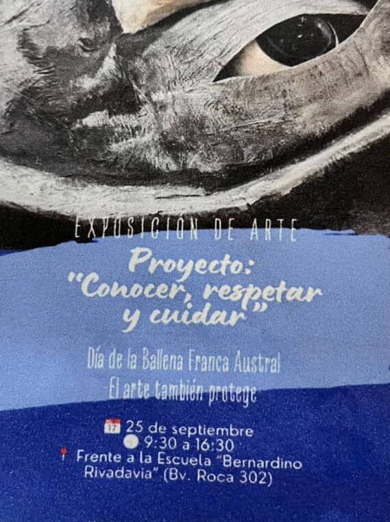 ballena escuela rivadavia