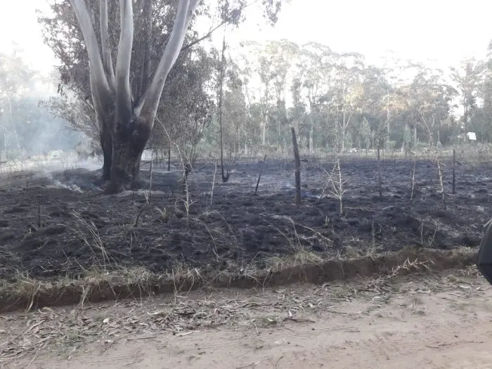 Incendio en 197 y 66