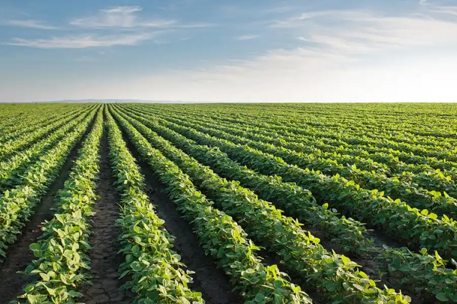 Disertación sobre “Modelos de producción agroecológica”: se encuentran abiertas las inscripciones