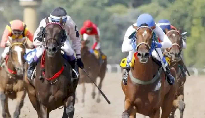Jueves 05: Actividad Hipódromo de La Plata