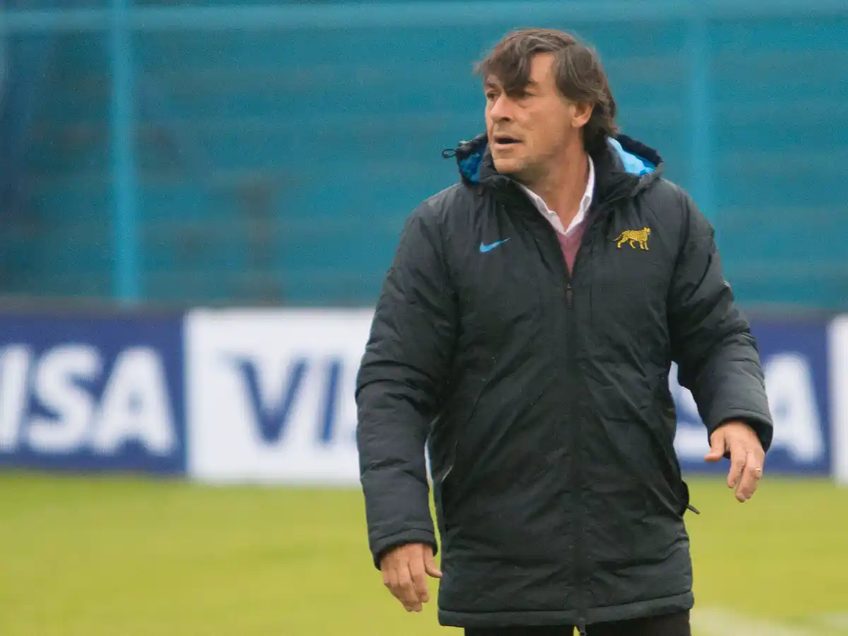 Los Pumas, con cuatro variantes