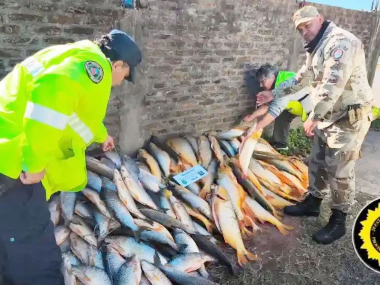Decomisan un cargamento ilegal con casi 200 piezas de pescado en el sur entrerriano