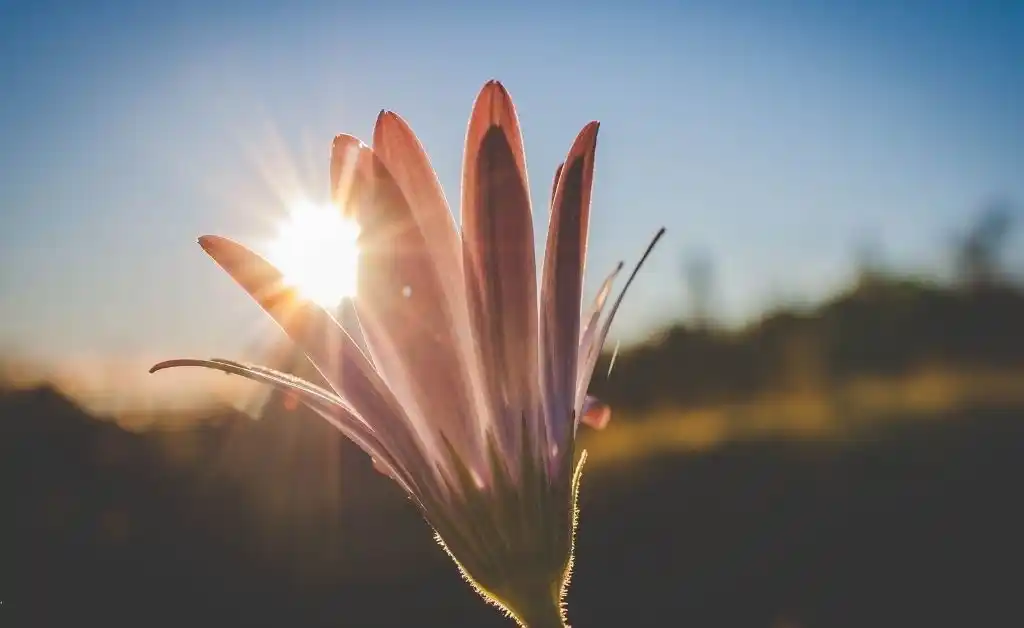 Jueves caluroso, húmedo y con algunas nubes en Santa Fe