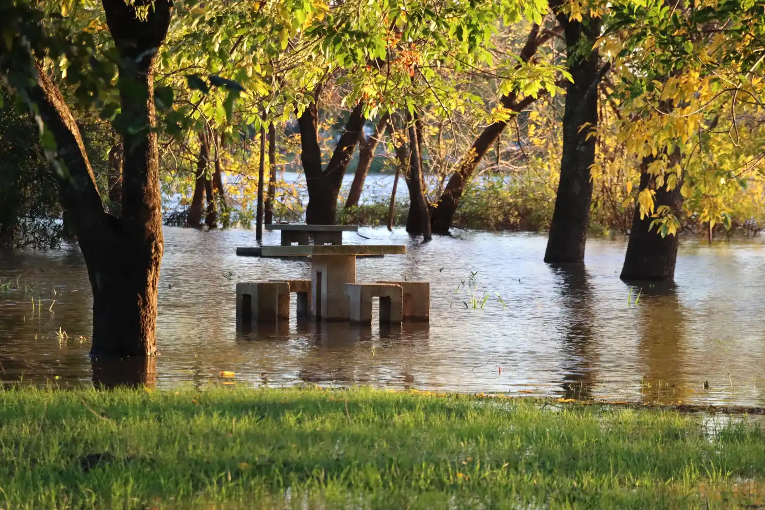 Restringido el tránsito en el Parque Unzué por el repunte del río Gualeguaychú