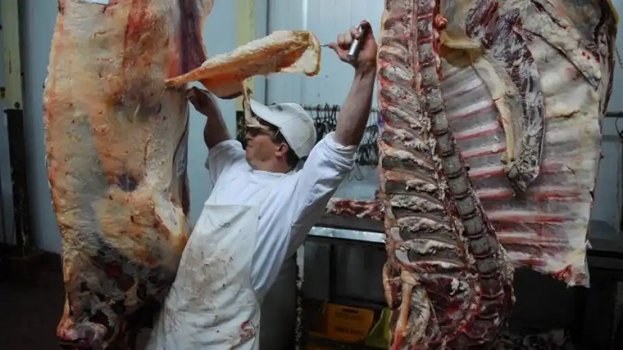 El peso medio de faena es el más alto de los últimos 100 años