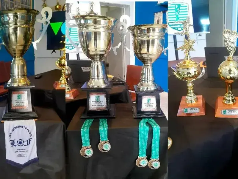 Los trofeos del Provincial Sub 14 . Foto:LRF