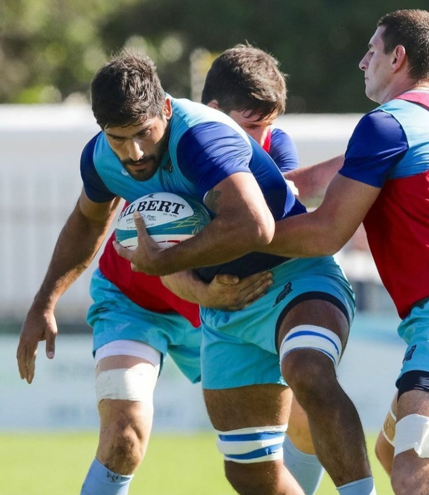 Los Pumas tienen un equipo probable