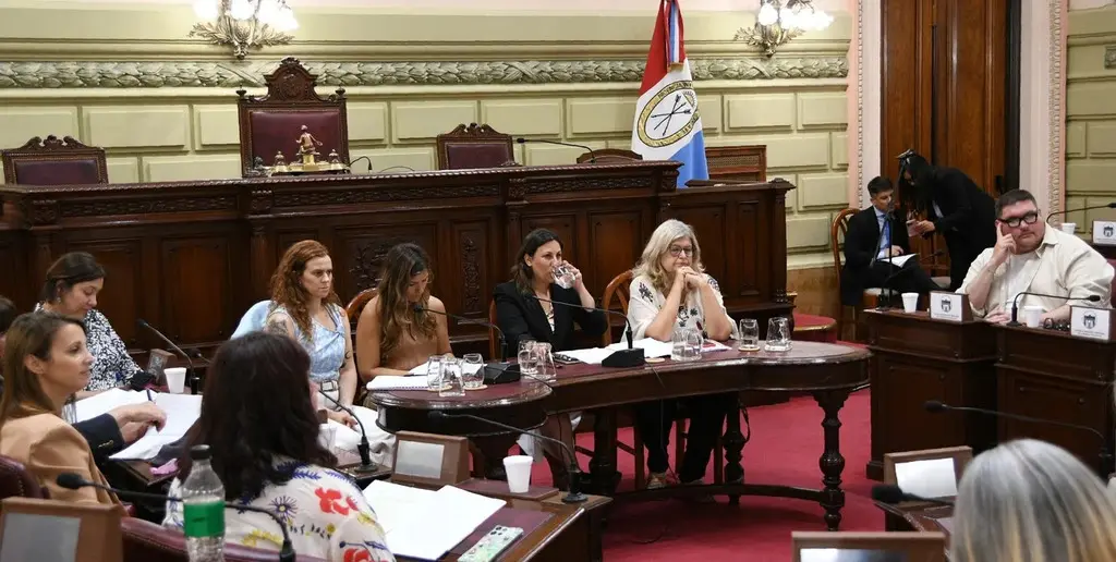 La Comisión de Salud que encabeza Varinia Drisun.