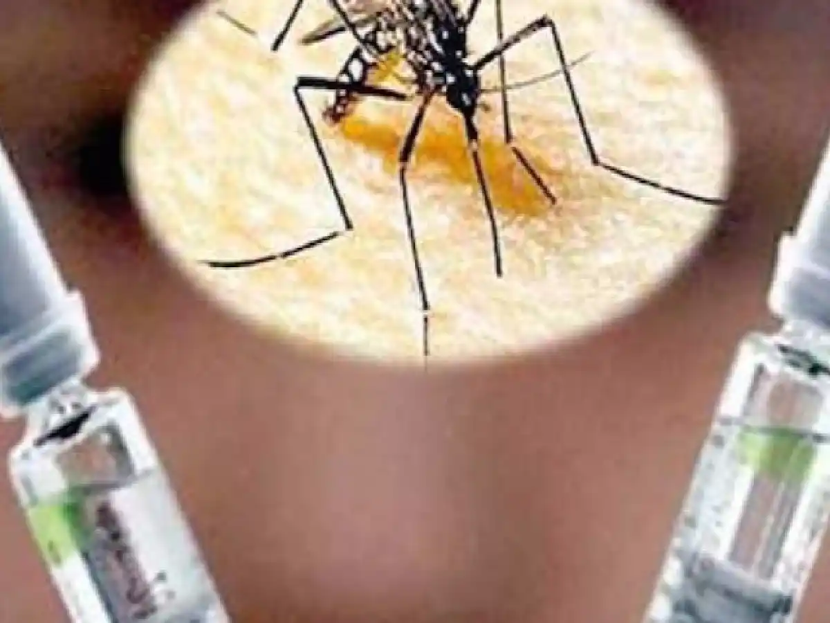 La FDA anunció la aprobación de la primera vacuna para el Dengue.