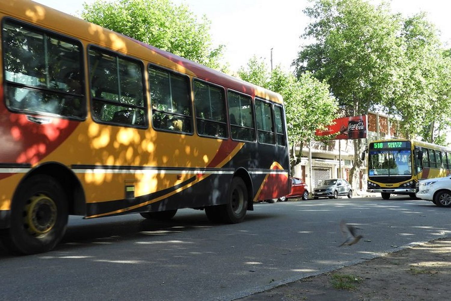 Sube el boleto en Necochea y llega a los 100 pesos