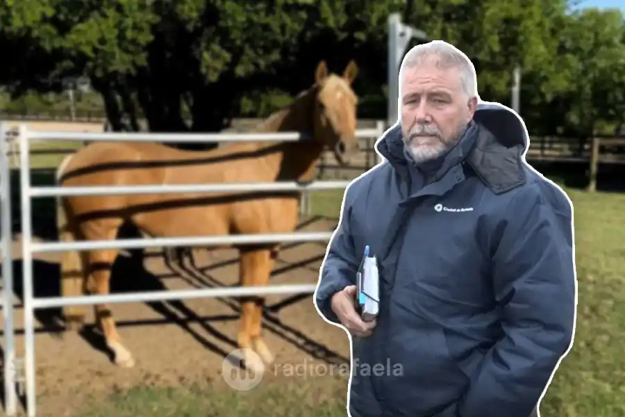 Ya están en marcha los corrales municipales con más de 90 caballos registrados: ¿cómo funcionan?