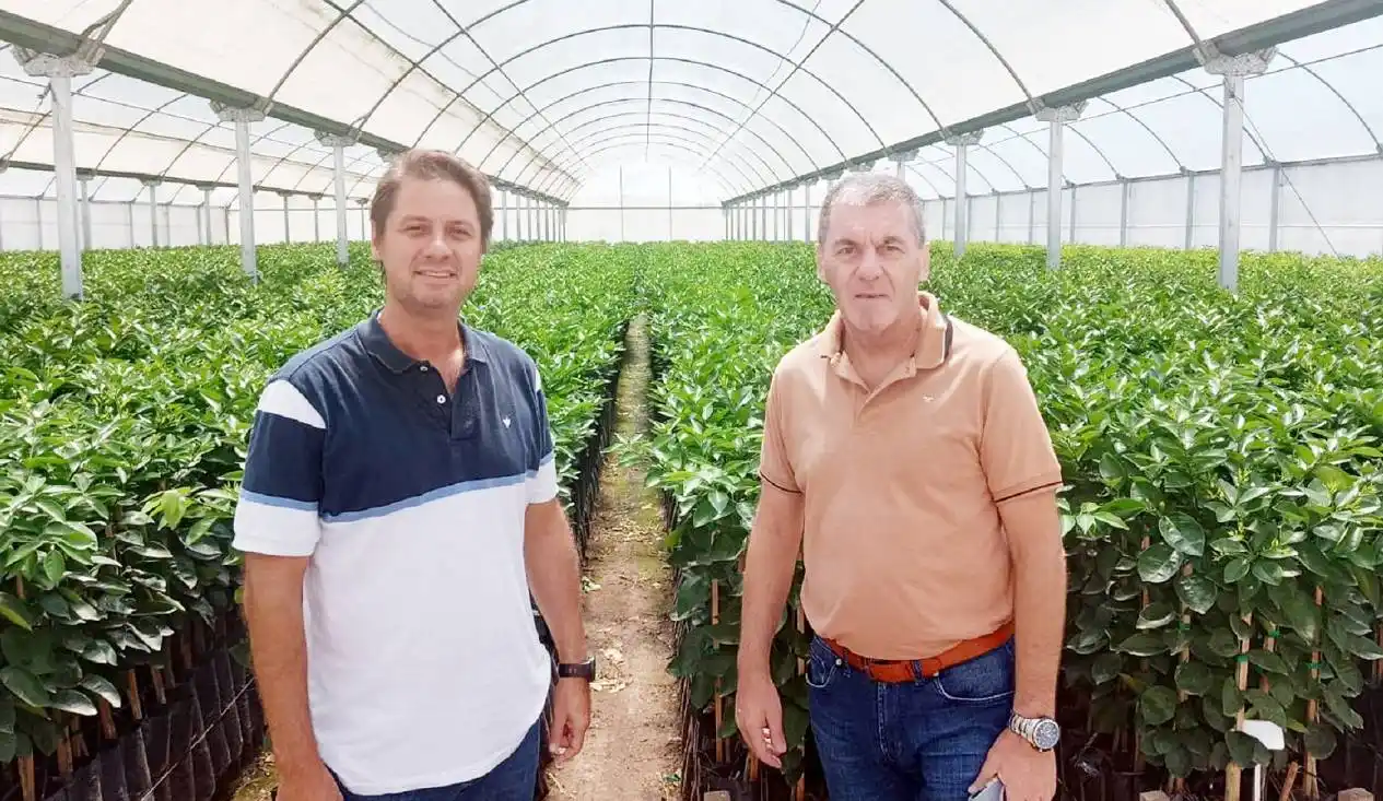 Ballay desarrolló actividades junto a productores forestales y de nuez pecan