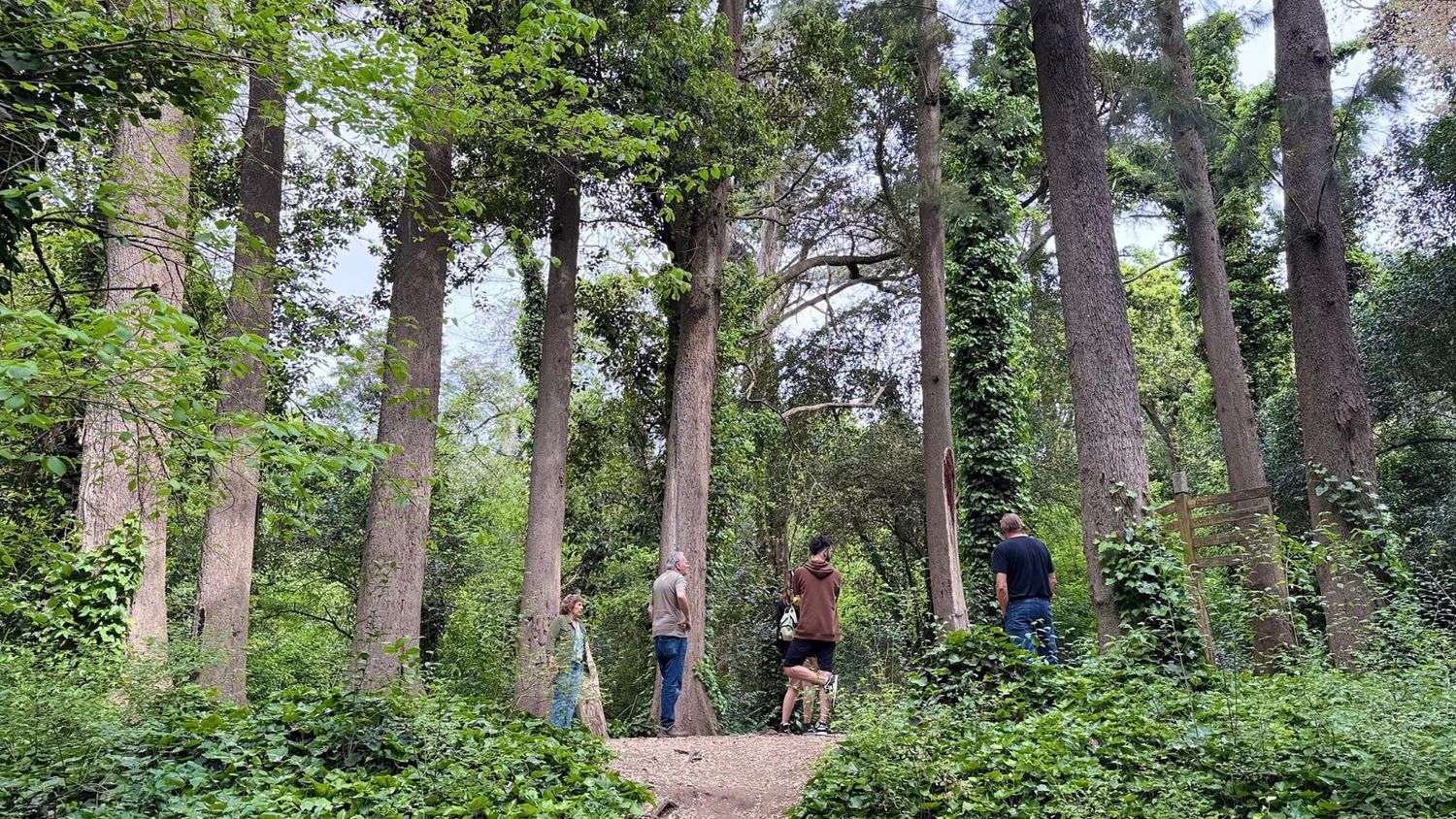 El Mundial de Turismo Rural bonaerense llega a las etapas finales: En qué consiste y cómo participar