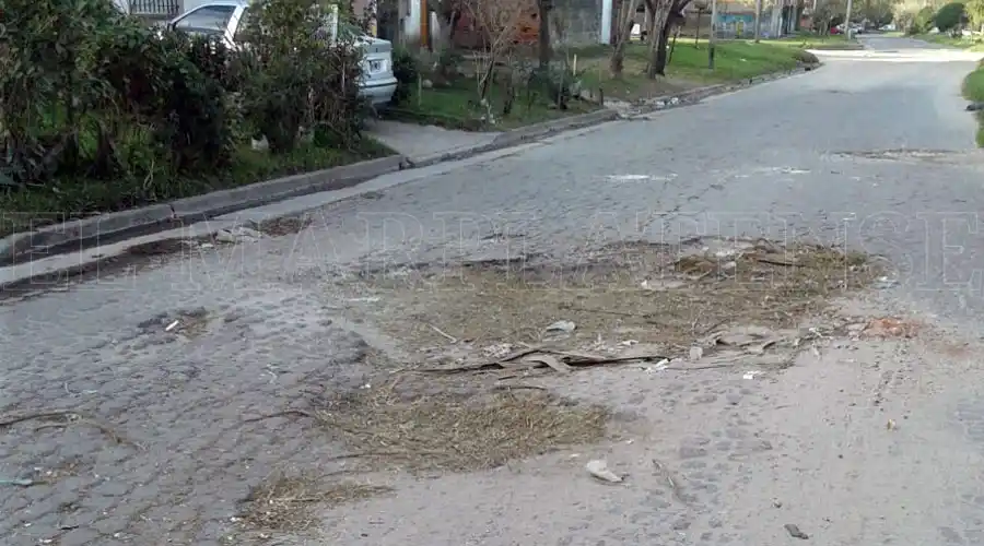 Arroyo: "Las calles en los pueblos están perfectas, acá dan lástima"