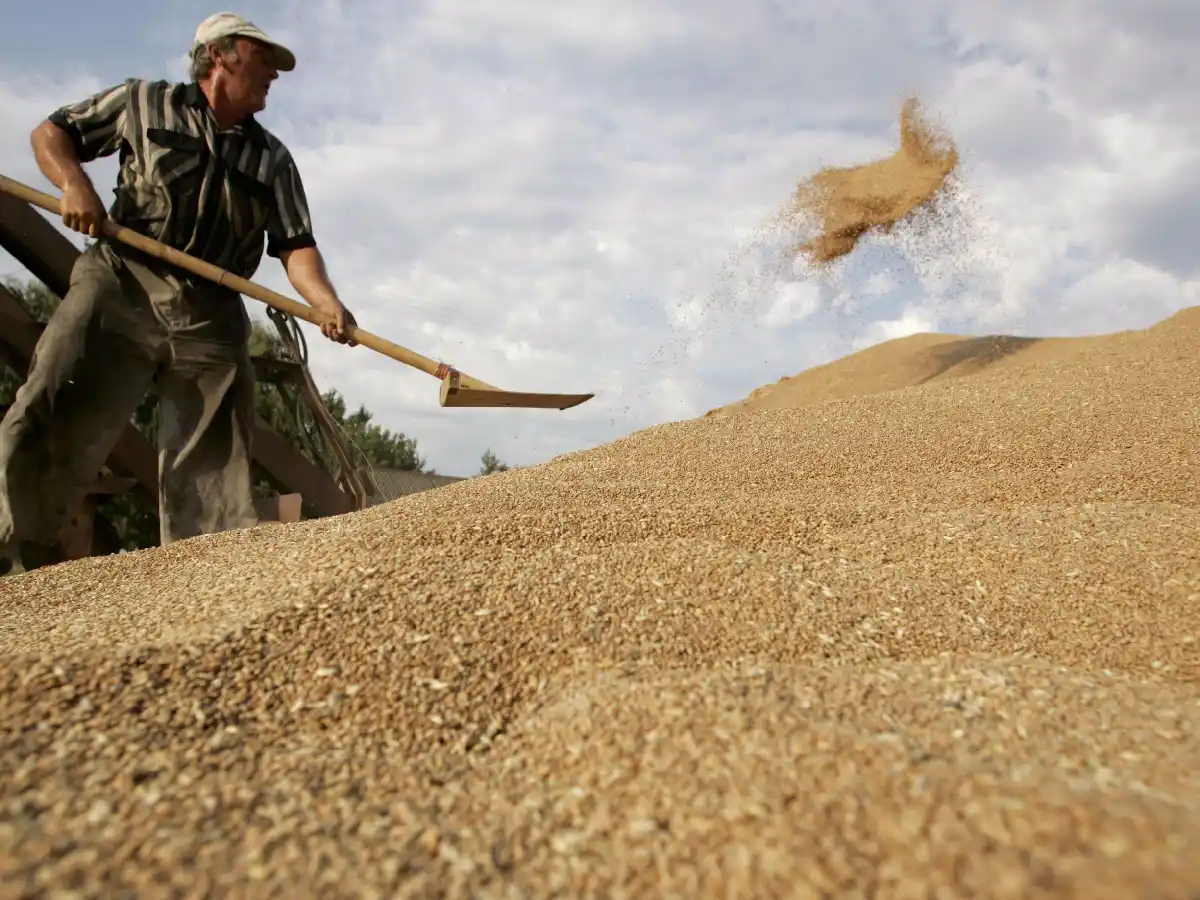 En enero ingresaron USD 1.755,69 millones por la agroexportación  