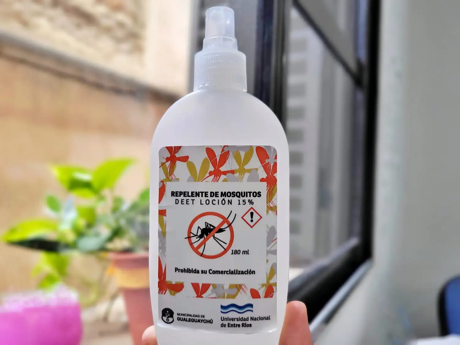 Gualeguaychú no registra ningún caso de dengue este verano