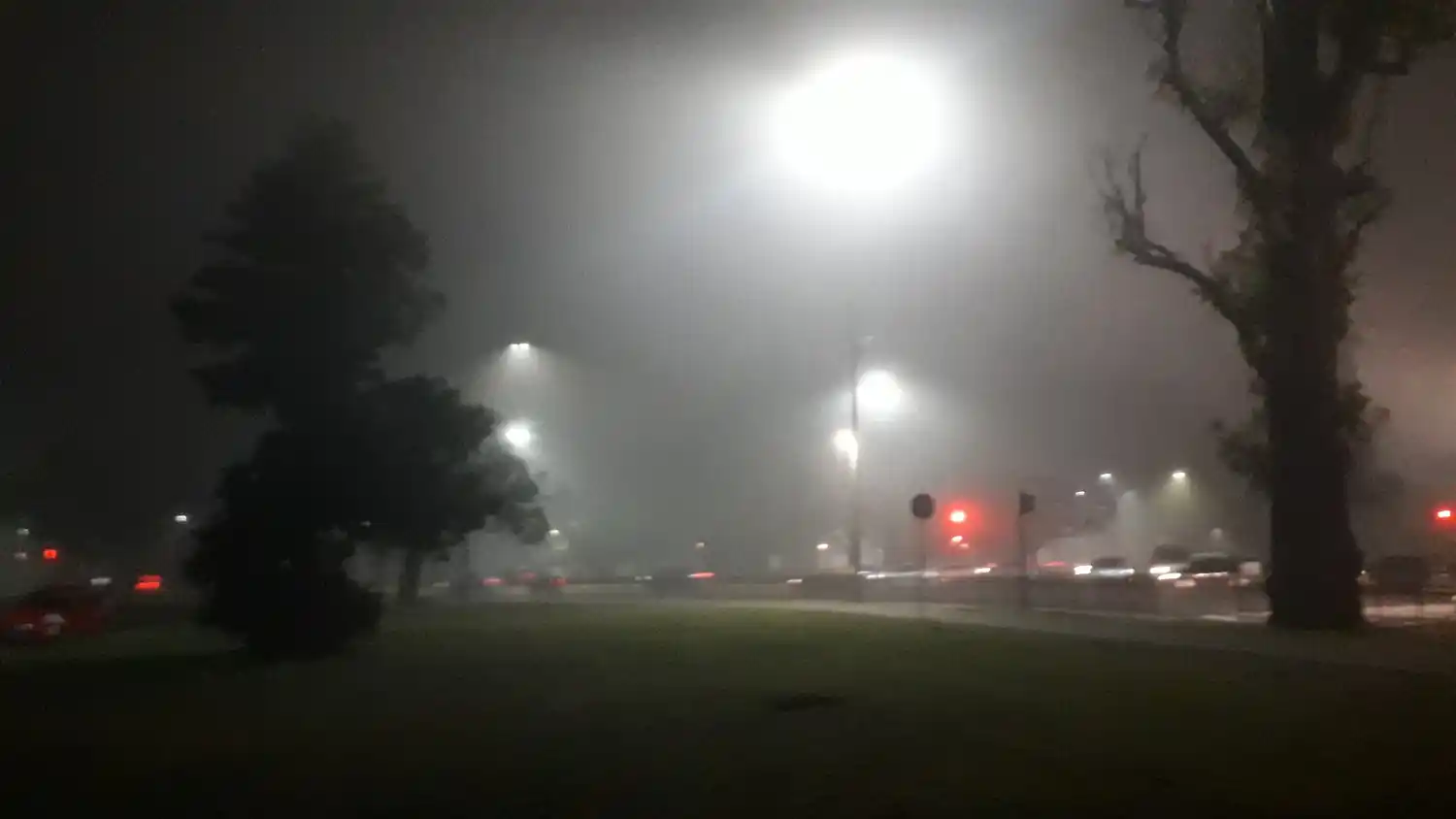 Advierten por Nieblas en Provincia: Qué precauciones tomar al conducir