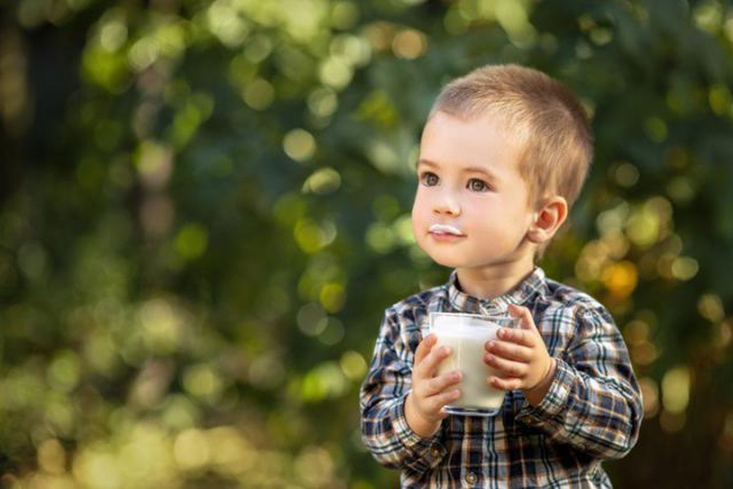 Leches vegetales y bebidas azucaradas o dietéticas, desaconsejadas en menores de cinco años